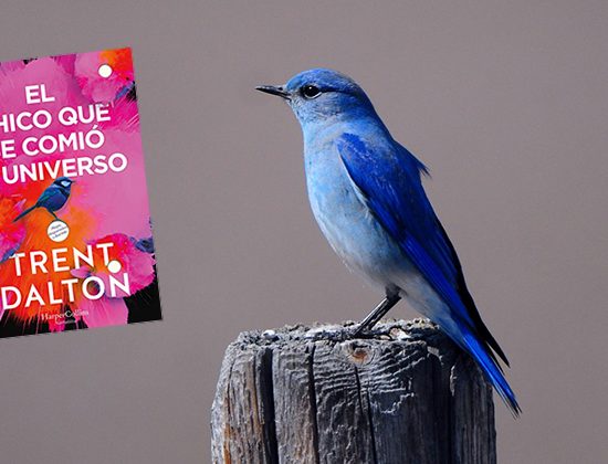 Reseña El Chico que se Comió el Universo - Autor Trent Dalton - Curioso Melomano - Reseña de Libros